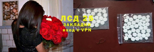 прущие грибы Алексин