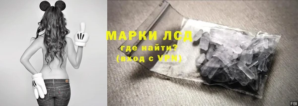 сатива Алзамай