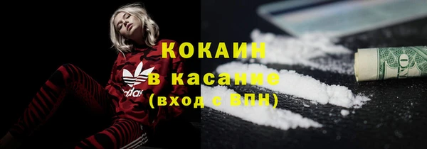 прущие грибы Алексин