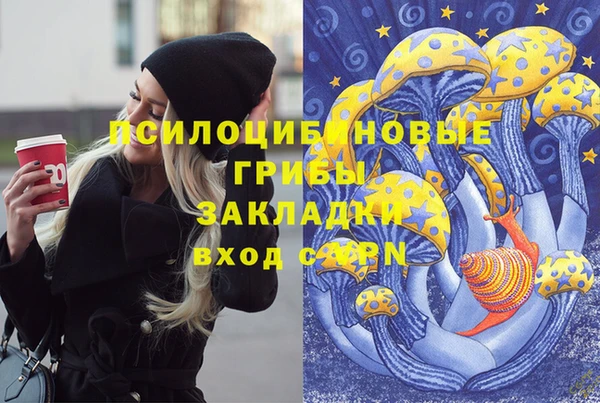 сатива Алзамай