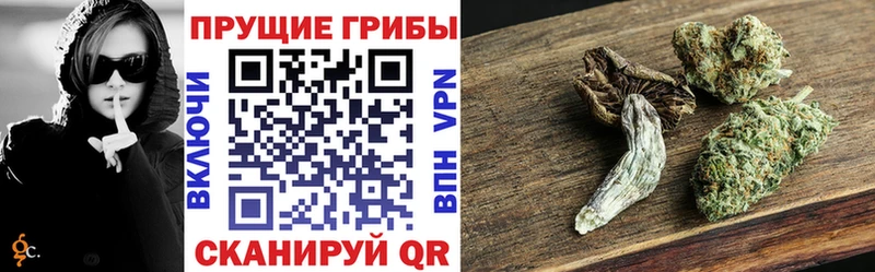 Галлюциногенные грибы MAGIC MUSHROOMS  Кукмор 